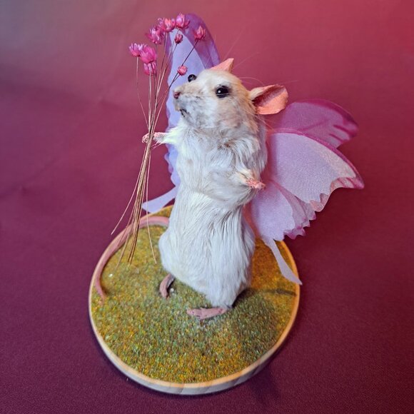 Meet your Posher, Echo - Picture 1 of 1